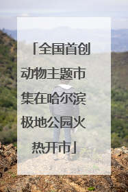 全国首创动物主题市集在哈尔滨极地公园火热开市