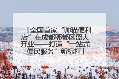全国首家“帅猫便利店”在成都郫都区盛大开业——打造“一站式便民服务”新标杆