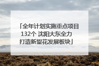 全年计划实施重点项目132个 沈阳大东全力打造新望花发展板块