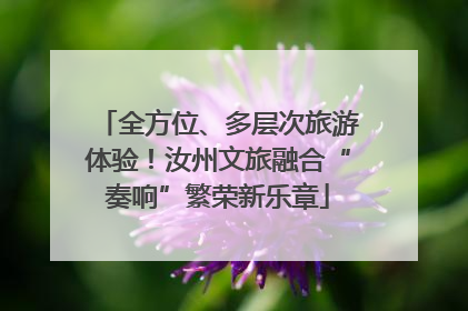 全方位、多层次旅游体验！汝州文旅融合“奏响”繁荣新乐章