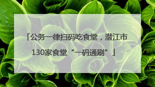 公务一律扫码吃食堂，潜江市130家食堂“一码通刷”