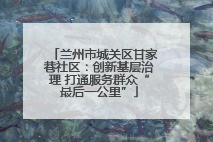 兰州市城关区甘家巷社区：创新基层治理 打通服务群众“最后一公里”