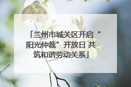 兰州市城关区开启“阳光仲裁”开放日 共筑和谐劳动关系