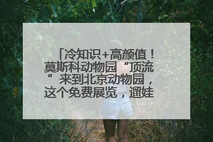 冷知识+高颜值！莫斯科动物园“顶流”来到北京动物园，这个免费展览，遛娃拍照两不误！