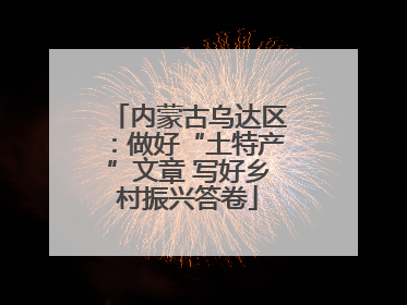内蒙古乌达区：做好“土特产”文章 写好乡村振兴答卷