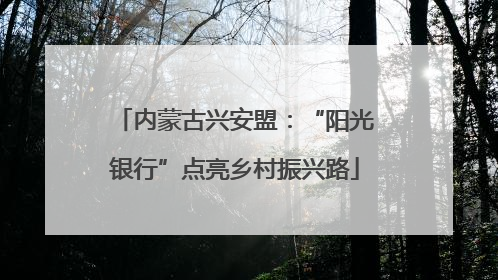 内蒙古兴安盟：“阳光银行”点亮乡村振兴路