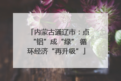 内蒙古通辽市：点“铝”成“绿” 循环经济“再升级”