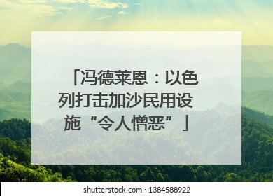 冯德莱恩：以色列打击加沙民用设施“令人憎恶”