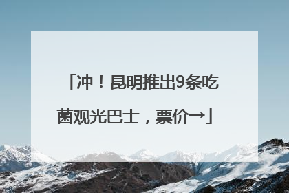 冲！昆明推出9条吃菌观光巴士，票价→