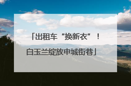 出租车“换新衣”！白玉兰绽放申城街巷