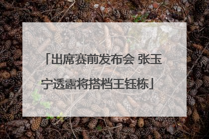 出席赛前发布会 张玉宁透露将搭档王钰栋