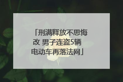 刑满释放不思悔改 男子连盗5辆电动车再落法网