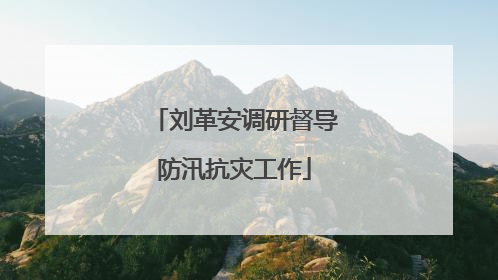 刘革安调研督导防汛抗灾工作