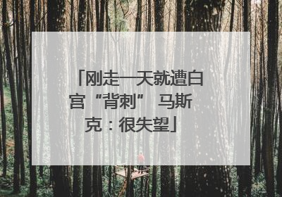 刚走一天就遭白宫“背刺” 马斯克：很失望