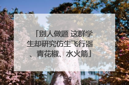 别人做题 这群学生却研究仿生飞行器、青花椒、水火箭