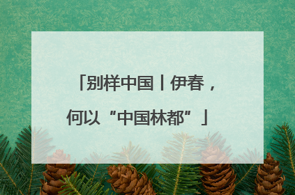 别样中国丨伊春，何以“中国林都”