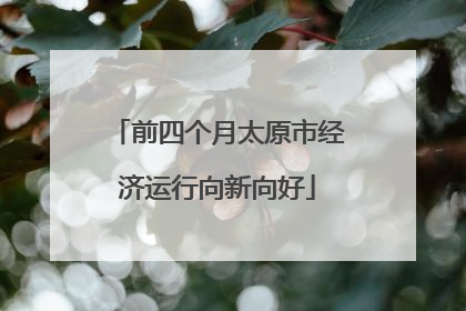 前四个月太原市经济运行向新向好