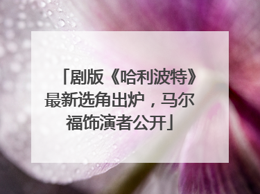 剧版《哈利波特》最新选角出炉，马尔福饰演者公开
