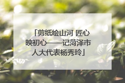 剪纸绘山河 匠心映初心——记菏泽市人大代表杨秀玲