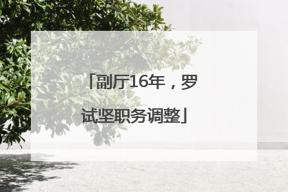 副厅16年，罗试坚职务调整