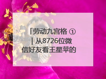 劳动九宫格 ①｜从8726位微信好友看王星苹的公益信仰与坚持
