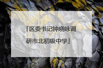 区委书记钟晓咏调研市北初级中学