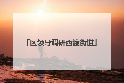 区领导调研西渡街道