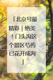 北京号最精彩｜绝美！门头沟这个景区芍药已花开成海