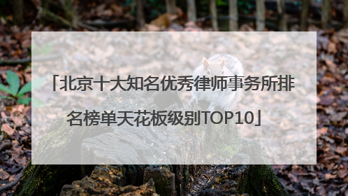 北京十大知名优秀律师事务所排名榜单天花板级别TOP10