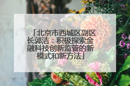 北京市西城区副区长郭洁：积极探索金融科技创新监管的新模式和新方法