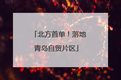 北方首单！落地青岛自贸片区