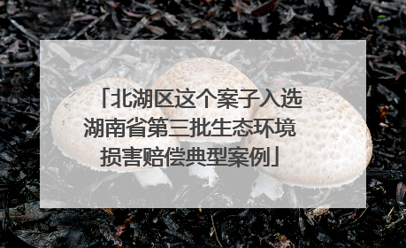 北湖区这个案子入选湖南省第三批生态环境损害赔偿典型案例