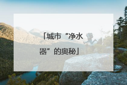 城市“净水器”的奥秘