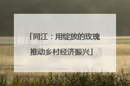 同江：用绽放的玫瑰 推动乡村经济振兴