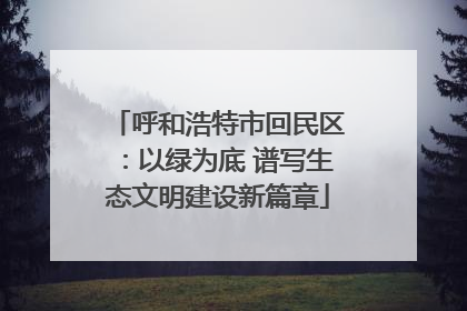 呼和浩特市回民区：以绿为底 谱写生态文明建设新篇章