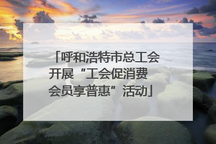 呼和浩特市总工会开展“工会促消费 会员享普惠”活动