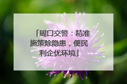 周口交警：精准施策除隐患，便民利企优环境