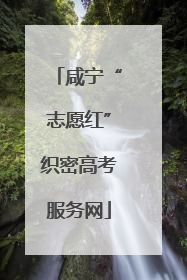 咸宁“志愿红”织密高考服务网
