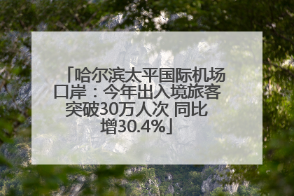 哈尔滨太平国际机场口岸：今年出入境旅客突破30万人次 同比增30.4%