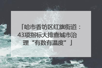哈市香坊区红旗街道：43项指标大排查城市治理“有数有温度”