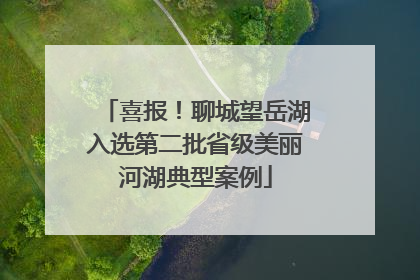 喜报！聊城望岳湖入选第二批省级美丽河湖典型案例