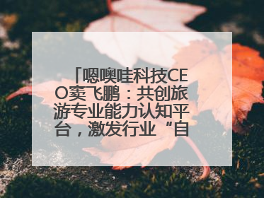 嗯噢哇科技CEO窦飞鹏：共创旅游专业能力认知平台，激发行业“自生长”力量