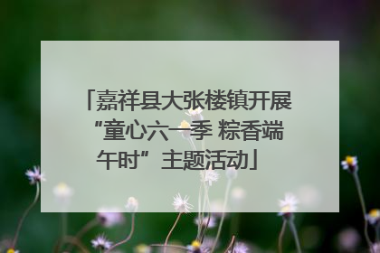 嘉祥县大张楼镇开展“童心六一季 粽香端午时”主题活动