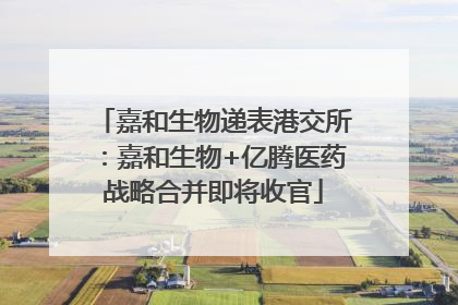 嘉和生物递表港交所：嘉和生物+亿腾医药战略合并即将收官