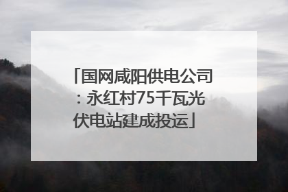 国网咸阳供电公司：永红村75千瓦光伏电站建成投运