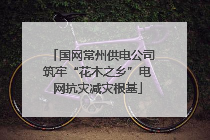 国网常州供电公司筑牢“花木之乡”电网抗灾减灾根基