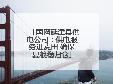 国网延津县供电公司：供电服务进麦田 确保夏粮稳归仓