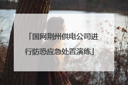 国网荆州供电公司进行防恐应急处置演练