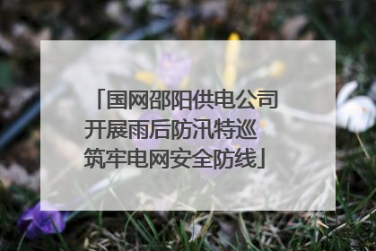 国网邵阳供电公司开展雨后防汛特巡 筑牢电网安全防线
