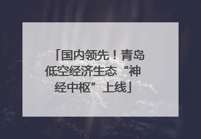 国内领先！青岛低空经济生态“神经中枢”上线